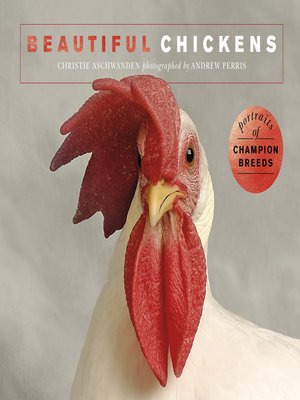 cover image of Beautiful Chickens
